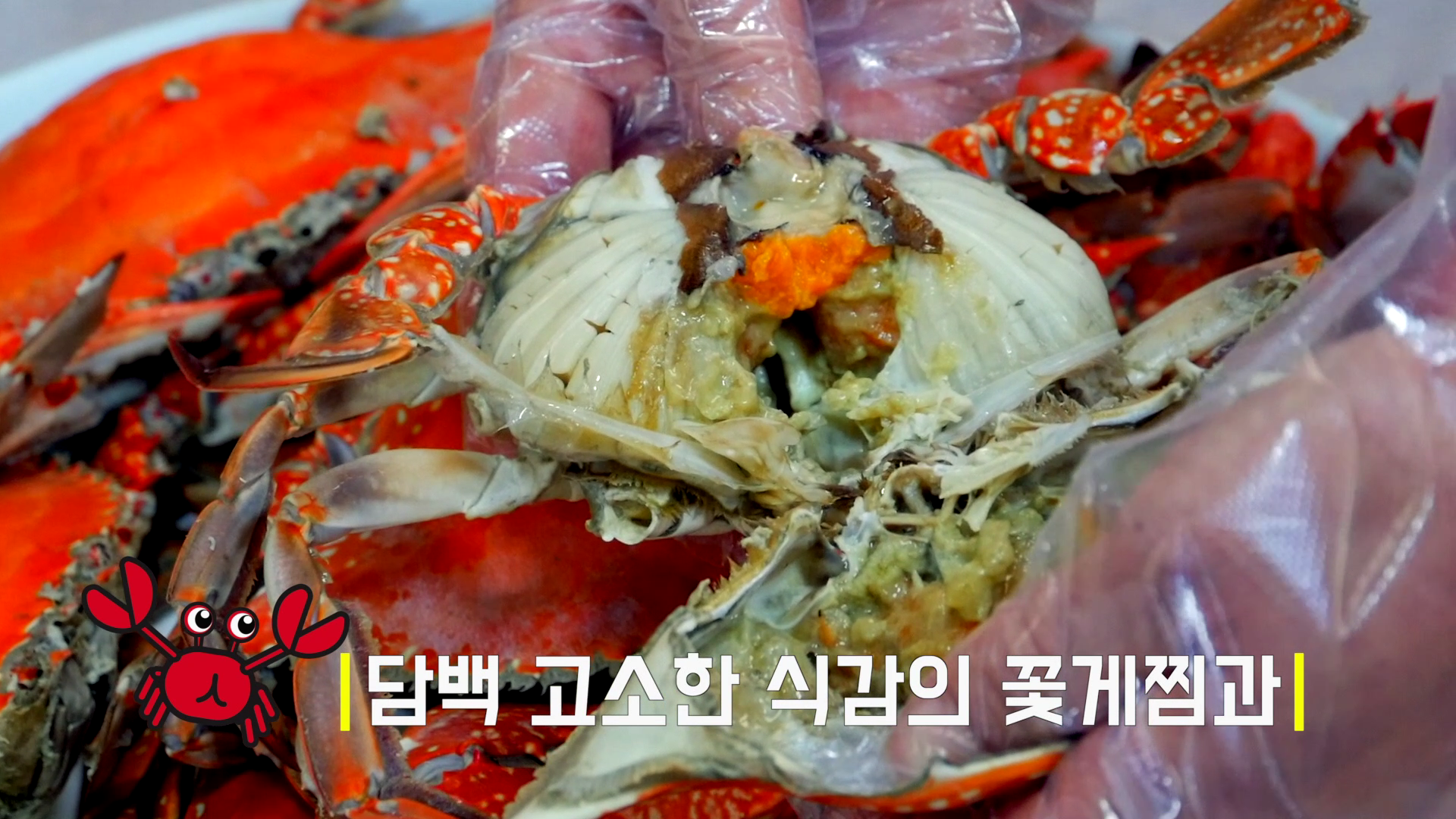 알이 톡톡! 보령 봄꽃게